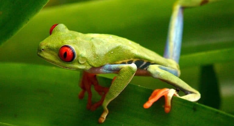 #08 La vérité sur les Français